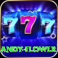 andy flower - Gaming Champion