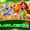 bpl live cricket - Live Deluxe