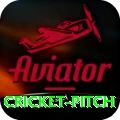 cricket pitch - Casino Pro