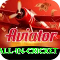 fastest ball in cricket Mobile Royal