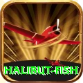 halibut fish King New