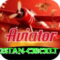 india pakistan cricket Ultimate Slots