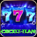 ireland cricket team Game Supreme v5.4.4