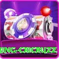 live cricket streaming cricbuzz Casino Premium v5.3.4