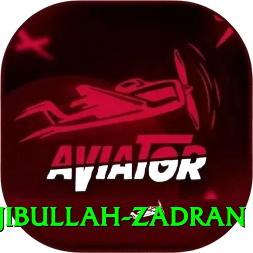 najibullah zadran Gaming Master - 2