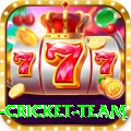 netherlands cricket team Game Super v5.4.9