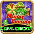 smartcric live cricket Elite Casino App