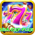 t20 asia cup Slots Mega v5.5.6