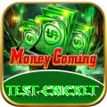 test cricket Casino Official v3.7.8