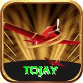 tojay Deluxe Pro v1.4.8