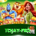 tojay Bonus Plus v2.5.2