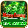 watch live cricket - Casino Legend