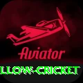willow cricket - Royal v1.7.3